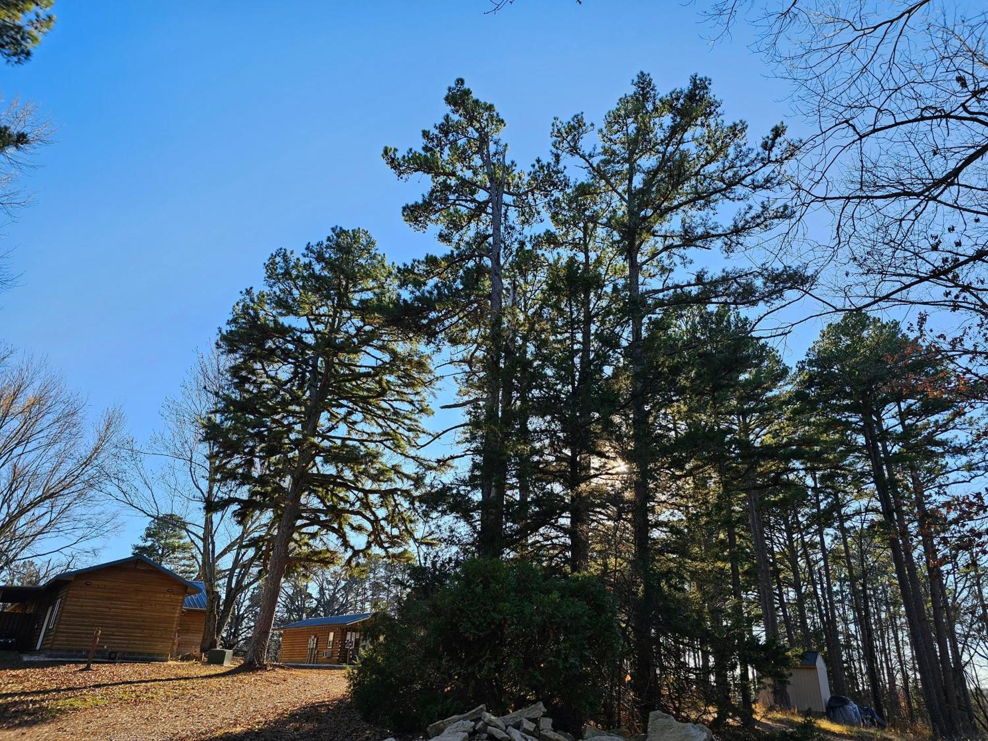 5 Min To Beaver Lake-King Bed-Fire Pit-Jetted Tub #3 Eureka Springs Exteriér fotografie