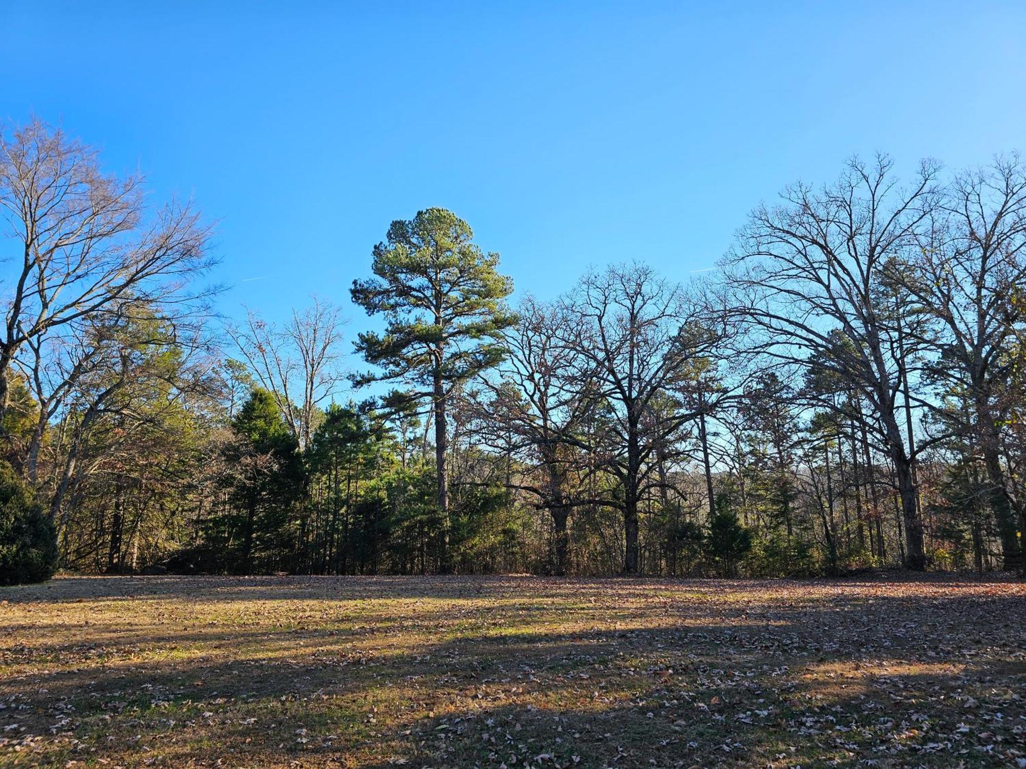 5 Min To Beaver Lake-King Bed-Fire Pit-Jetted Tub #3 Eureka Springs Exteriér fotografie
